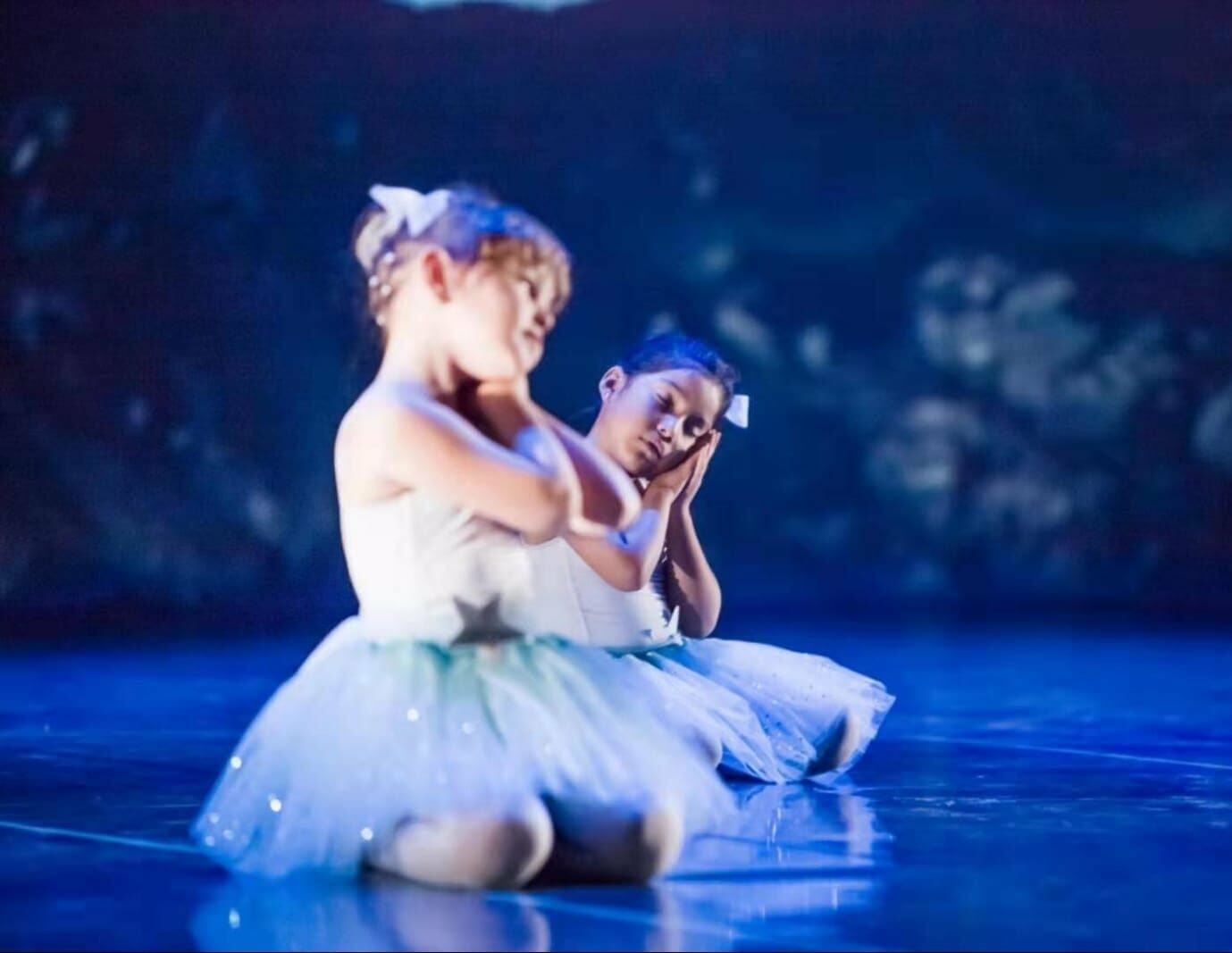 Descripción de la imagen