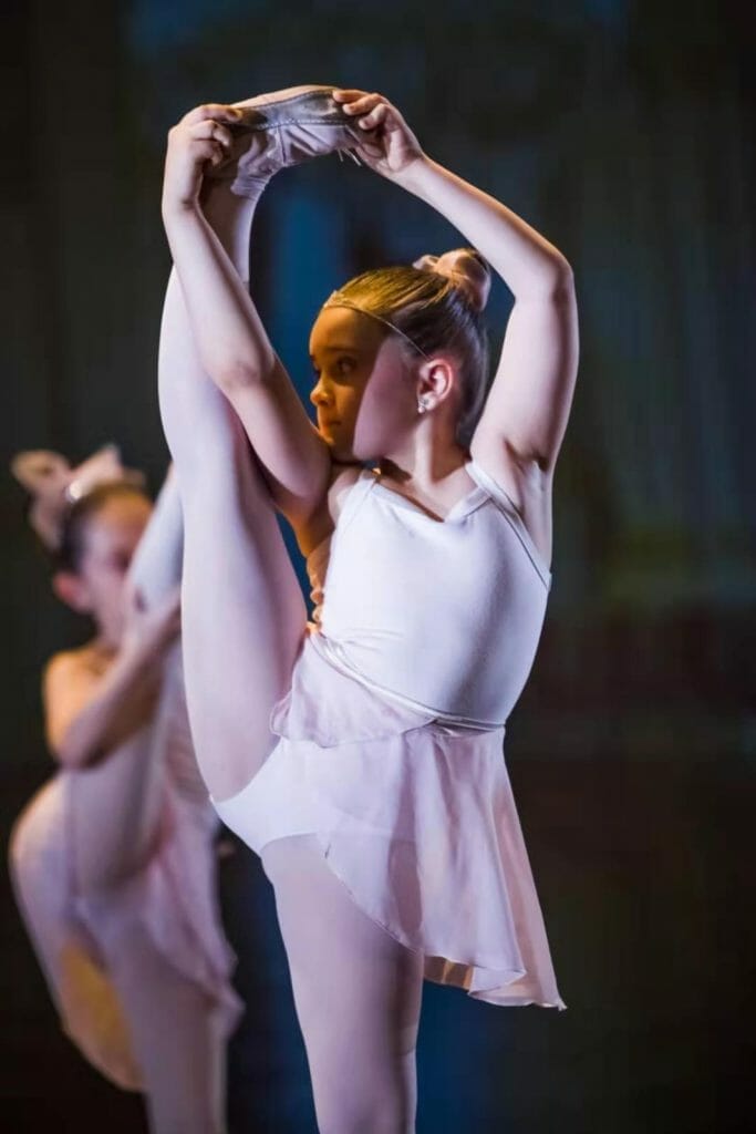 Descripción de la imagen